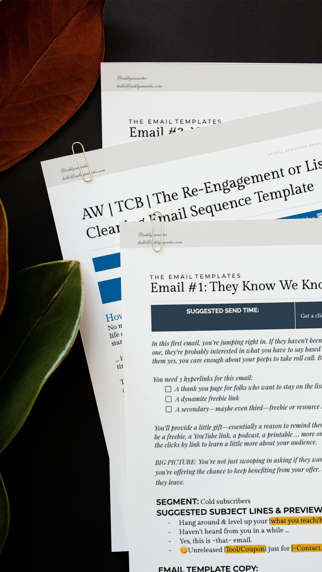 The Re-Engagement or List Cleaning Email Sequence Copy Template